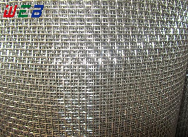 5 Mesh Plain Crimped Wire Mesh